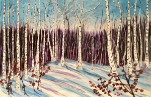 Winter Shadows – Private Gallery