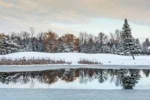 A Reflection on Winter