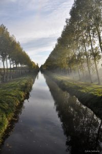 French Canal I