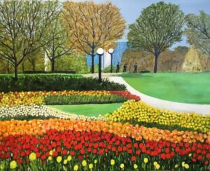 Tulip Fields in Majors Hill Park – Ottawa