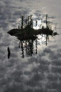 Entre ciel et eau