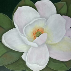 White Magnolia