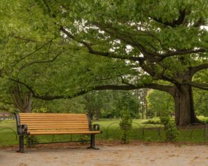 À m’asseoir sur un banc, cinq minutes, avec toi (2)
