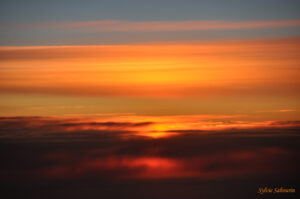 New Dawn