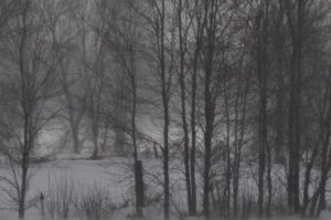Hiver