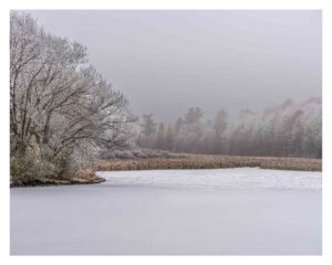 Winter Mist Frosted Trees & Frozen Pond