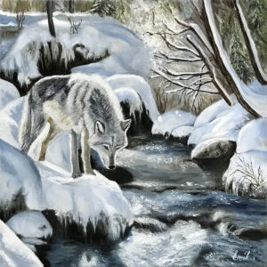 Wolf at the Creek
