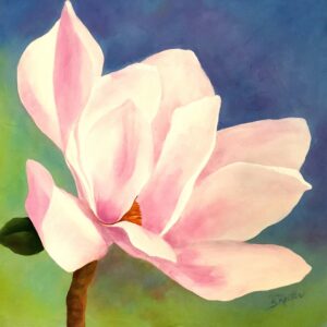 Pink Magnolia