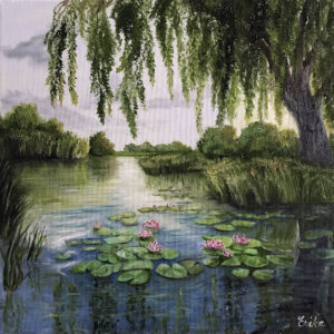 Waterlily Pond