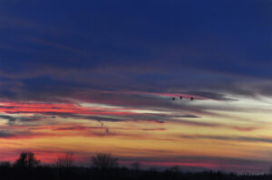 Vers d’autres horizons