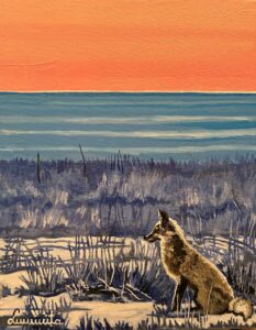 Sunset Fox